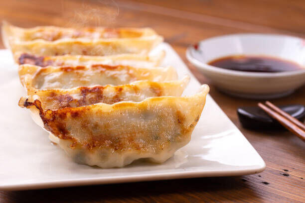 Gyoza (5pcs: vegetable)